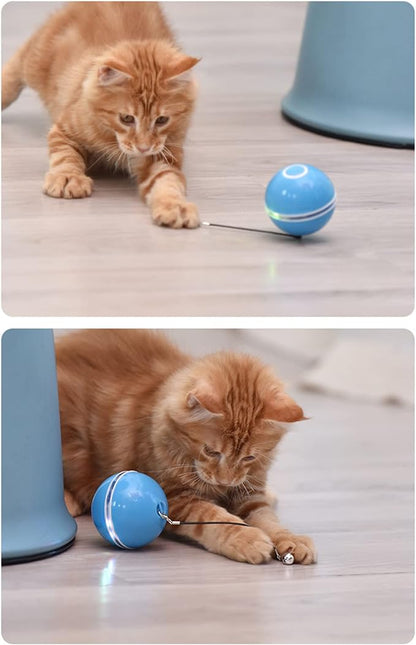 PELOTA INTERACTIVA PARA GATOS